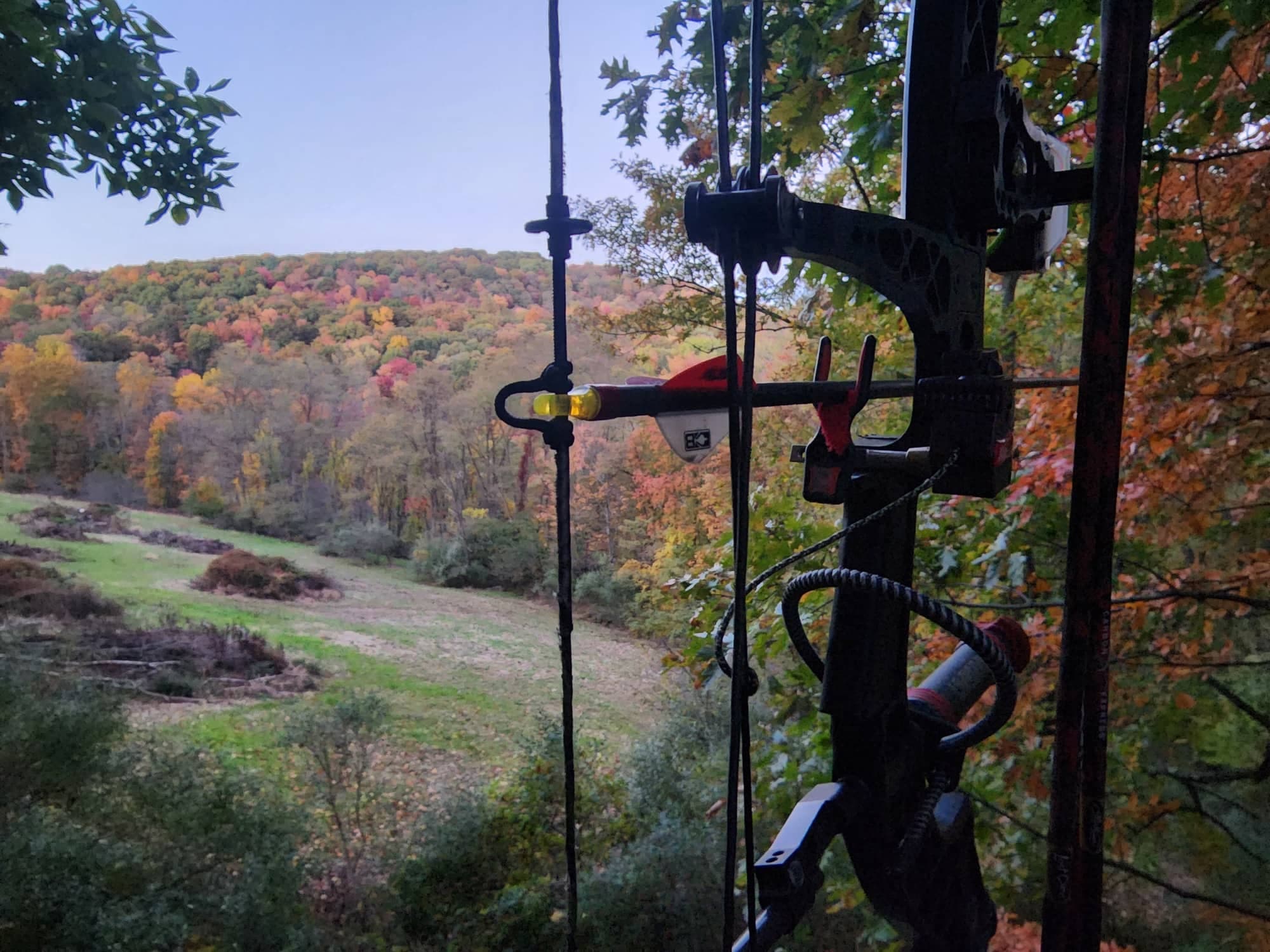 early season archery hunting tips