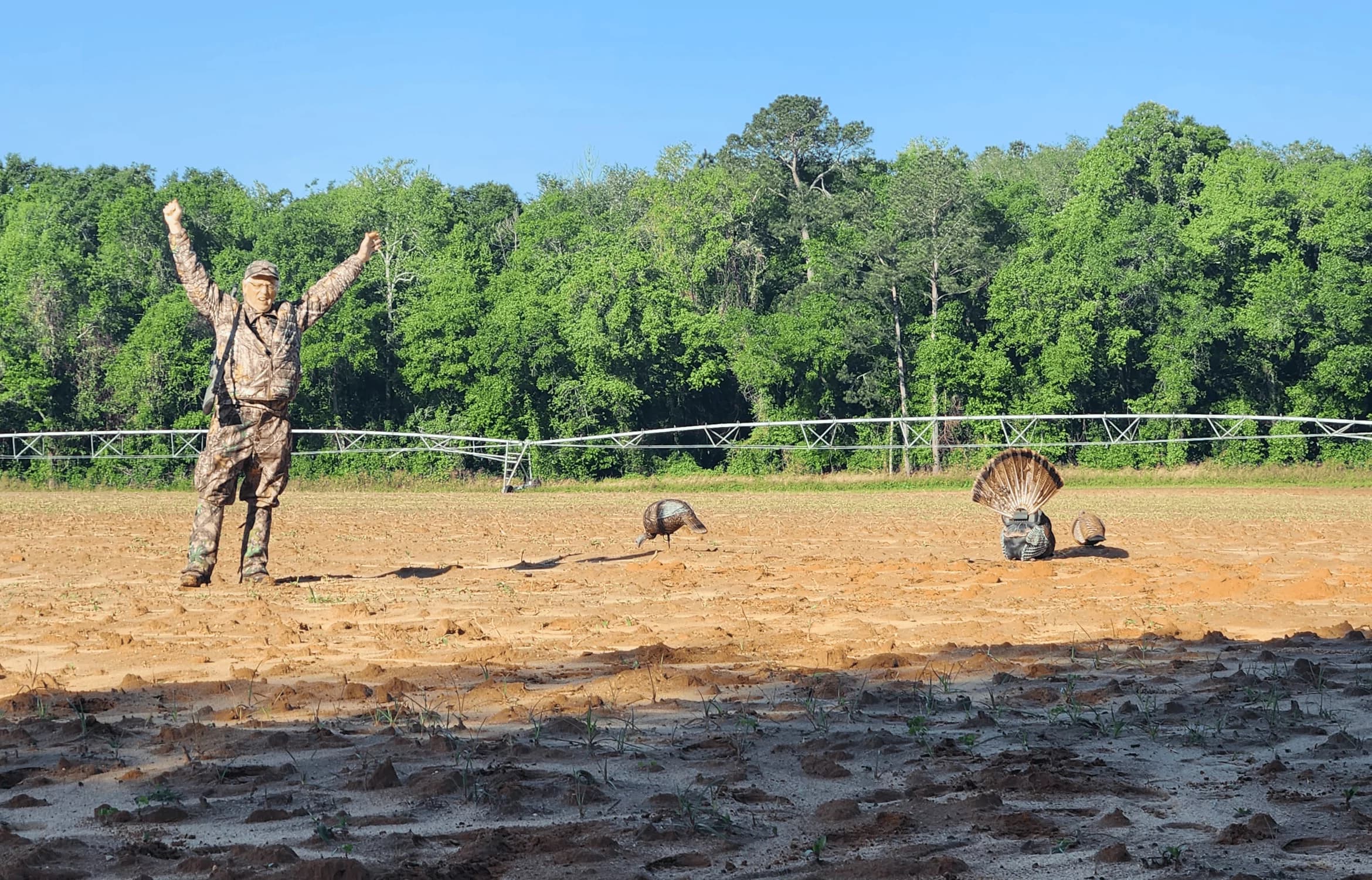 ultimate turkey hunting predictor