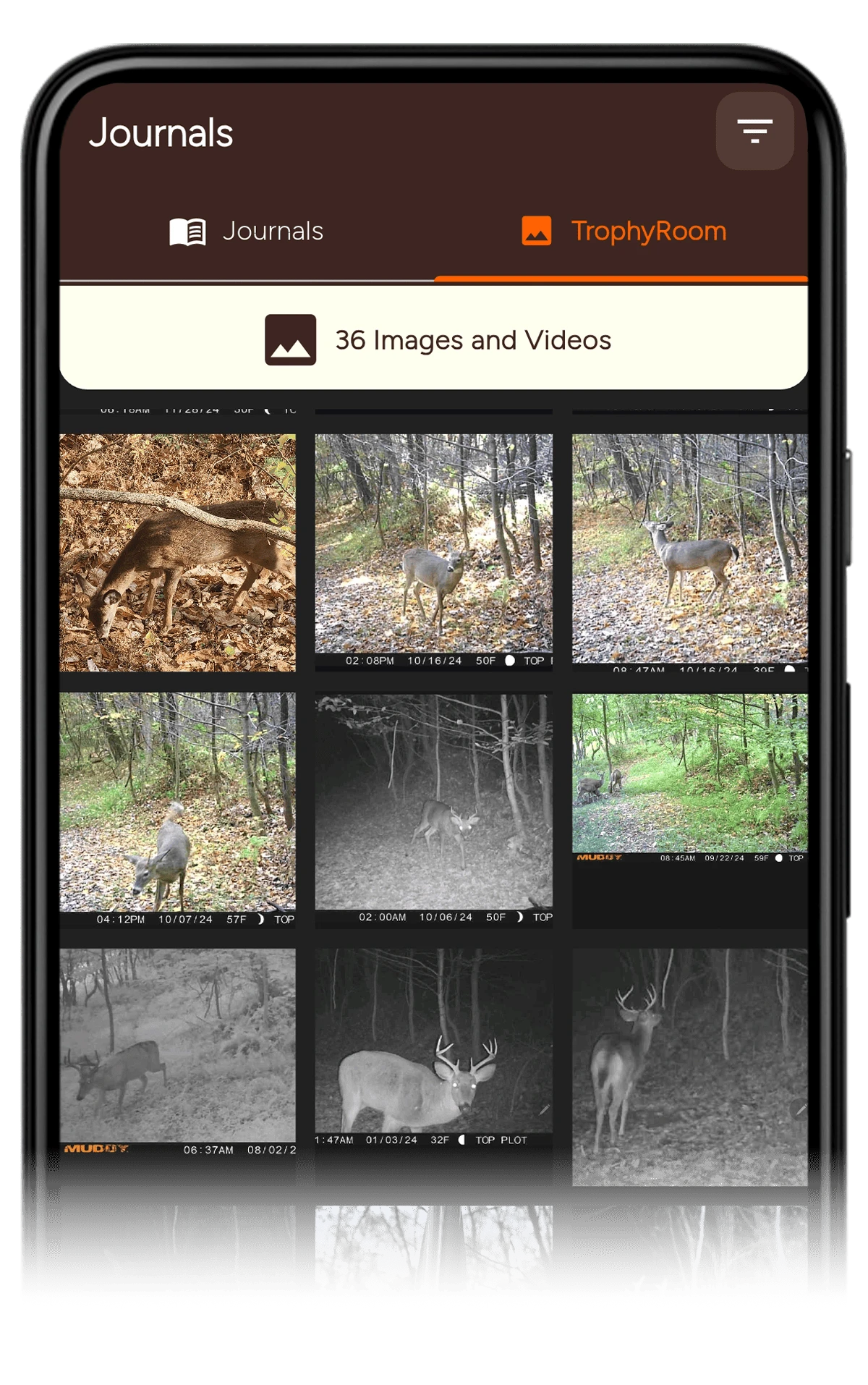 TrophyTracks TrophyRoom digital hunting gallery - organize trail camera photos, hunting harvest photos, food plot images, and all outdoor adventure memories in one place