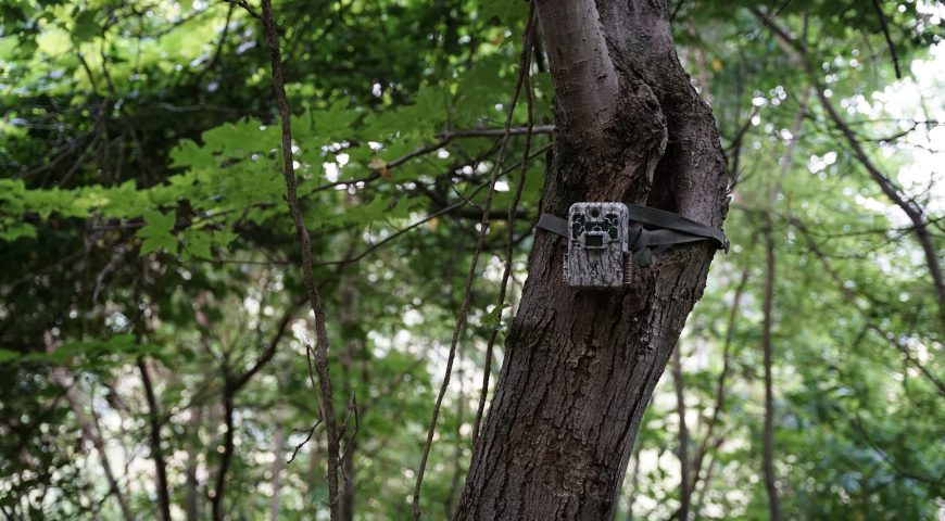 how-keep-track-trail-cam-photos-with-trophytracks-feature