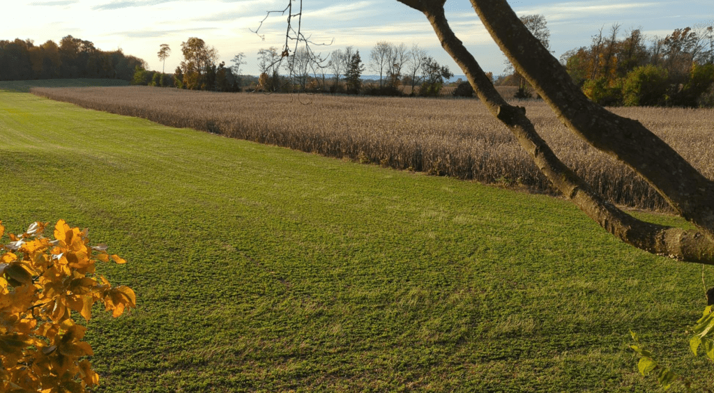 late season deer hunting