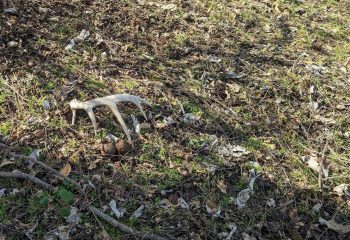 shed-hunting-for-beginners-with-trophytracks-feature