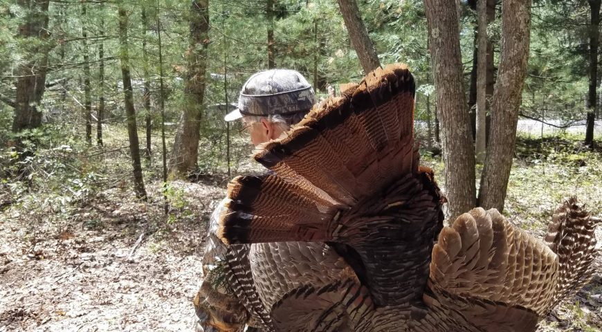 spring-turkey-hunting-tips-opening-day-gobbler-hotspots-feature