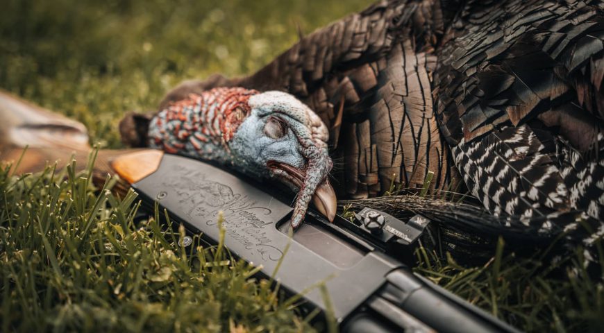 shotgun-turkey-loads-lead-heavyweight-tss-feature