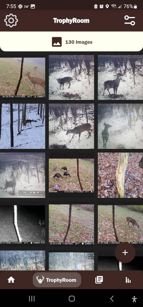 trail camera photos