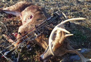 6-rut-hunting-tactics-for-archery-hunters-feature