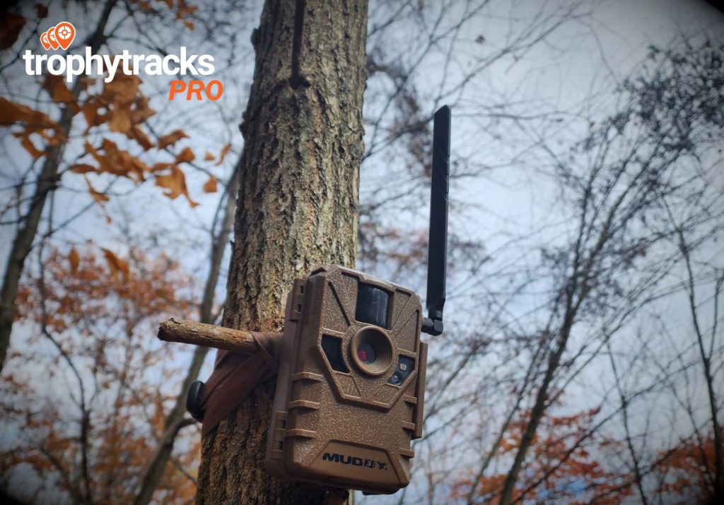 trail camera strategies