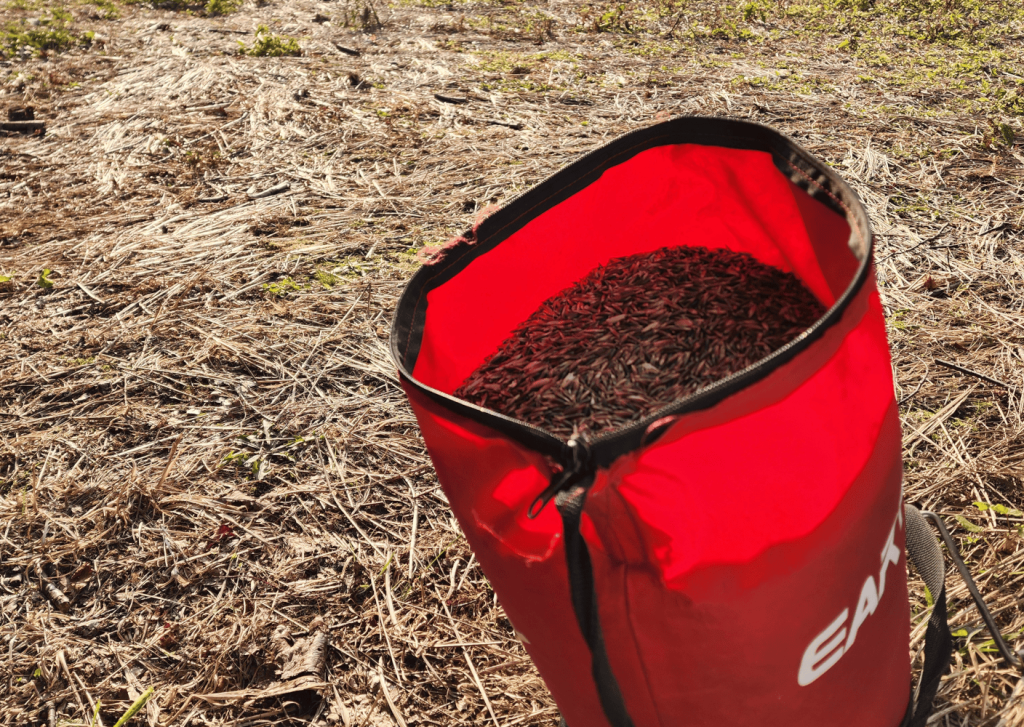 food plots for deer